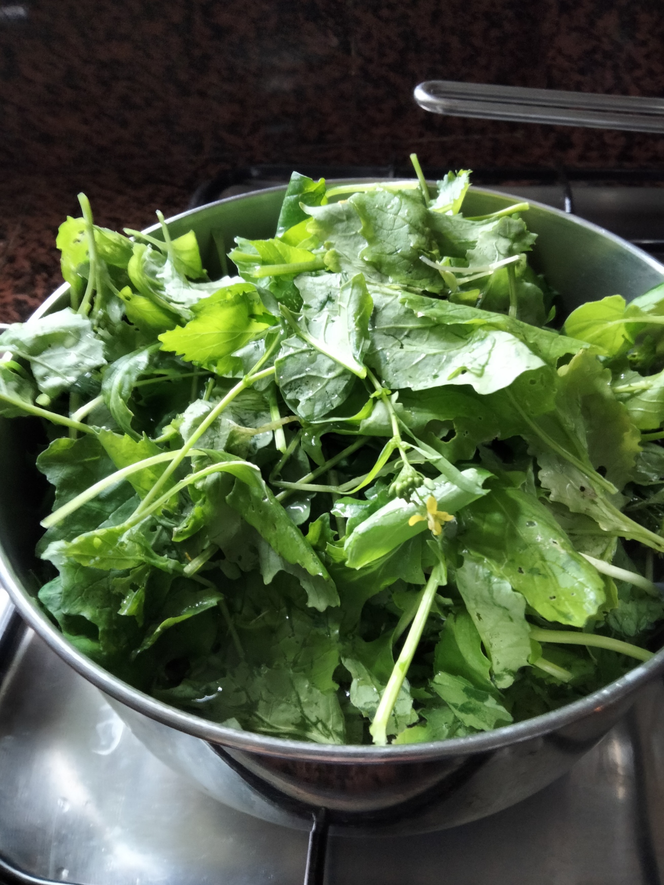 Cime di rapa? chi sono costoro?