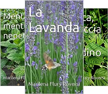 Lavanda, Menta, Ortica